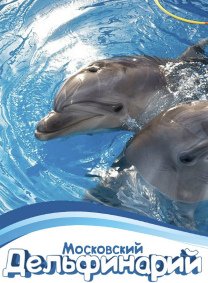 Билеты Шоу черноморских дельфинов