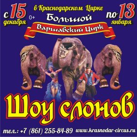 Цирковое шоу «Шоу слонов» афиша мероприятия