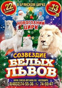 Цирковое шоу «Созвездие белых львов» афиша мероприятия