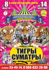 Билеты Цирковое шоу «Королевские тигры Суматры»