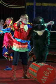 Шоу цирка-шапито «Antares» афиша мероприятия