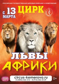 Цирковое шоу «Белые львы Африки» афиша мероприятия