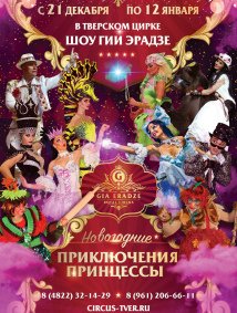 Цирковое шоу «Новогодние приключения Принцессы» афиша мероприятия