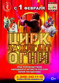Цирковое шоу «Цирк зажигает огни» афиша мероприятия