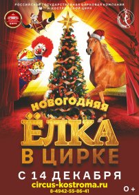 Цирковое шоу «Новогодняя ёлка в цирке» афиша мероприятия