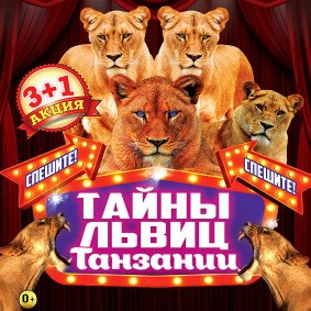 Билеты Шоу цирка-шапито «Экстрим-Арена»
