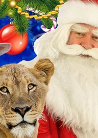 Цирковое шоу «Дед Мороз и цирк зверей» афиша мероприятия