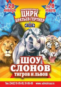 Билеты Цирковое представление «Шоу слонов, тигров и львов»