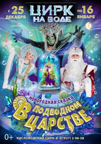 Новогоднее цирковое шоу на воде «В подводном царстве» афиша мероприятия