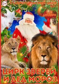 Новогоднее цирковое шоу «Цирк зверей и Дед Мороз» афиша мероприятия