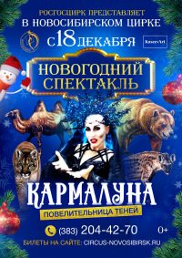 Новогоднее цирковое шоу «Кармалуна — повелительница теней» афиша мероприятия