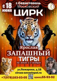 Билеты Цирковое шоу «Тигры на земле и в воздухе»