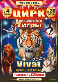 Шоу цирка-шапито «Vivat»