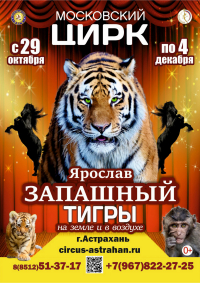 Билеты Цирковое шоу «Тигры на земле и в воздухе»
