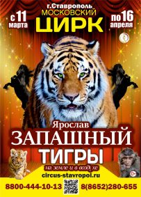 Цирковое шоу «Тигры на земле и в воздухе»