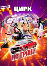 Билеты Цирковое шоу Мансуровых «На грани»
