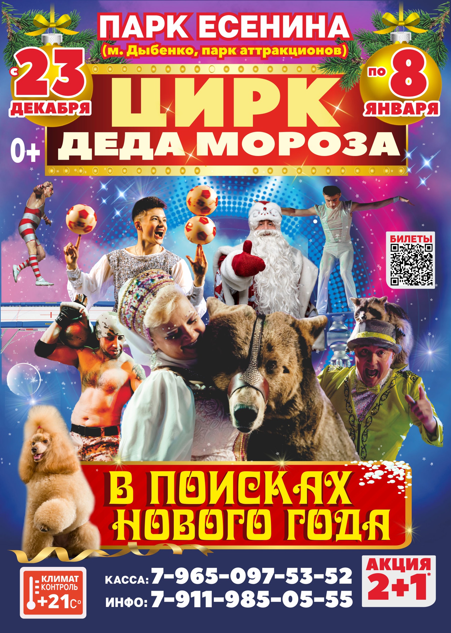 Билеты Шоу Мансуровых «Цирк Деда Мороза»
